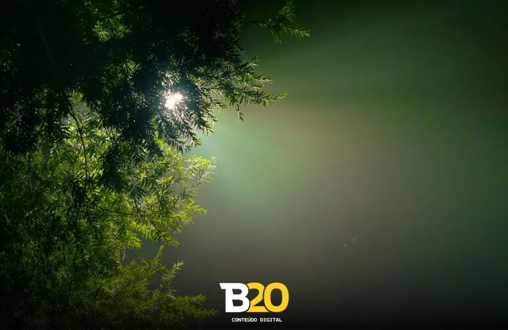 Erros comuns ao produzir conteúdo evergreen (e como evitá-los)